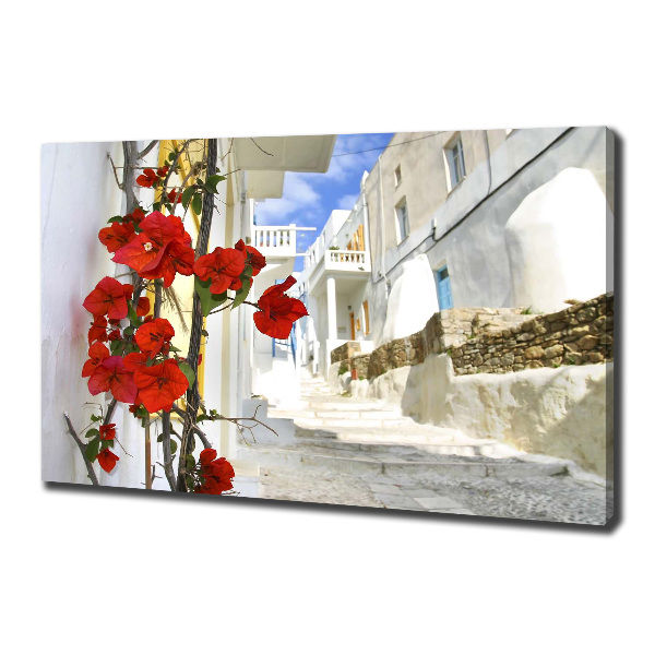Quadro su tela Mykonos, Grecia