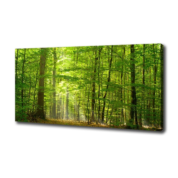 Quadro su tela Foresta di latifoglie