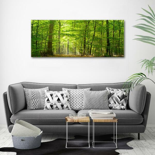 Quadro su tela Foresta di latifoglie