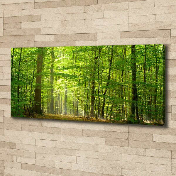 Quadro su tela Foresta di latifoglie