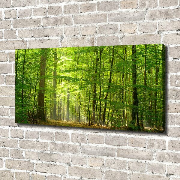 Quadro su tela Foresta di latifoglie