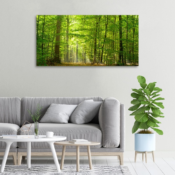 Quadro su tela Foresta di latifoglie