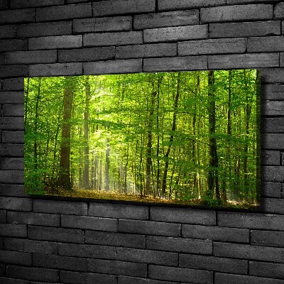 Quadro su tela Foresta di latifoglie