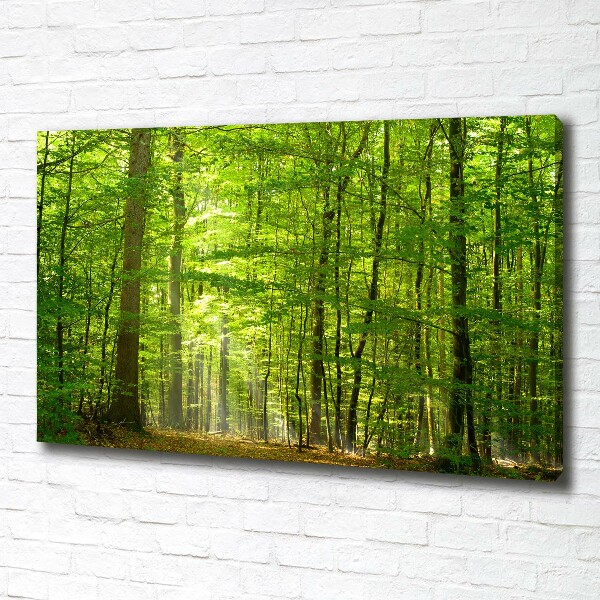 Quadro su tela Foresta di latifoglie