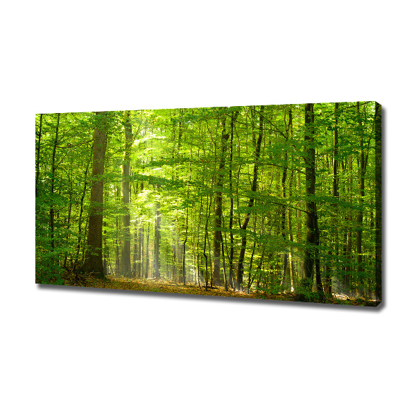 Quadro su tela Foresta di latifoglie