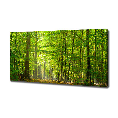 Quadro su tela Foresta di latifoglie