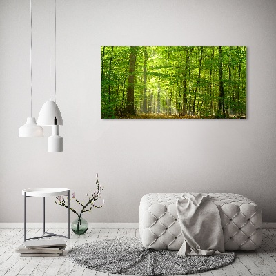 Quadro su tela Foresta di latifoglie