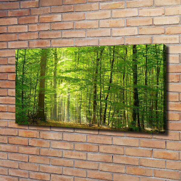 Quadro su tela Foresta di latifoglie