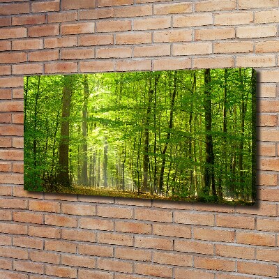 Quadro su tela Foresta di latifoglie