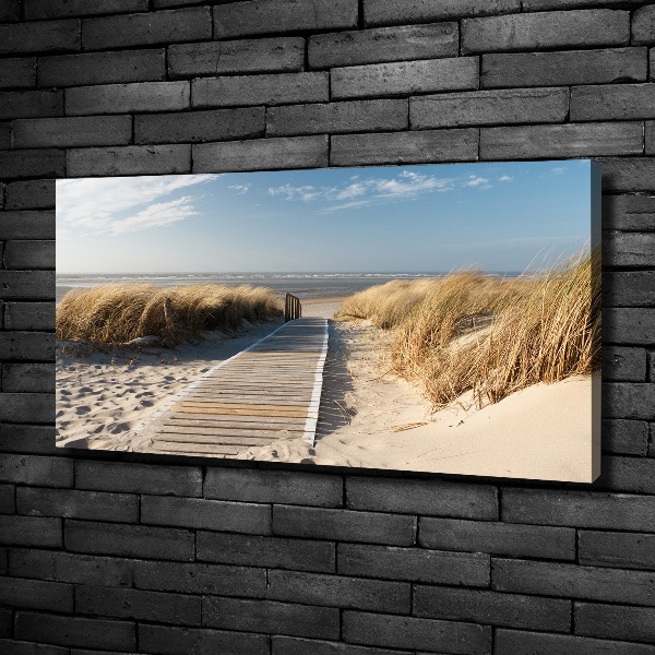 Foto quadro su tela Sentiero della spiaggia