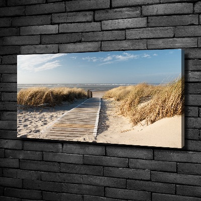 Foto quadro su tela Sentiero della spiaggia