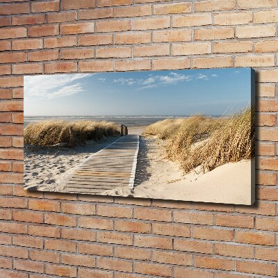 Foto quadro su tela Sentiero della spiaggia