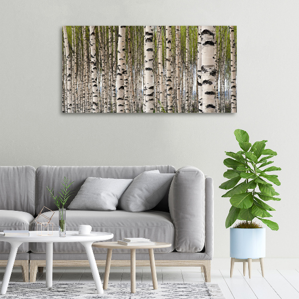 Foto quadro su tela Foresta di betulle