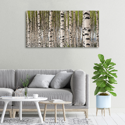 Foto quadro su tela Foresta di betulle
