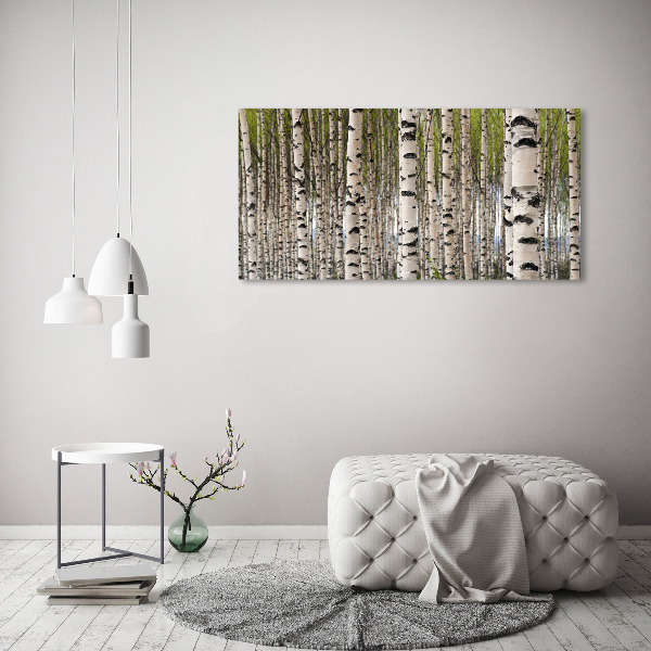 Foto quadro su tela Foresta di betulle
