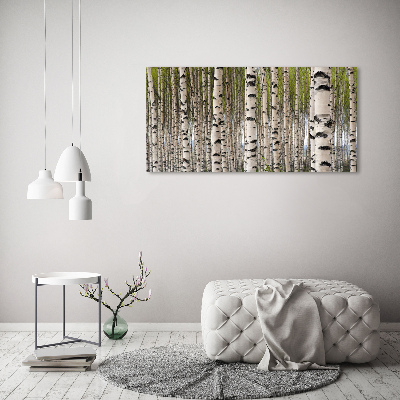 Foto quadro su tela Foresta di betulle