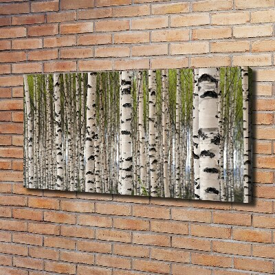 Foto quadro su tela Foresta di betulle