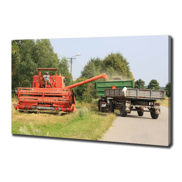 Quadro su tela Mietitrebbia