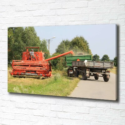 Quadro su tela Mietitrebbia