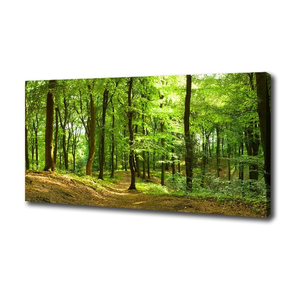 Foto quadro su tela Sentiero nel bosco