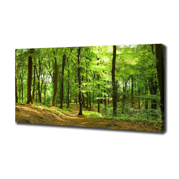 Foto quadro su tela Sentiero nel bosco
