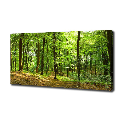 Foto quadro su tela Sentiero nel bosco