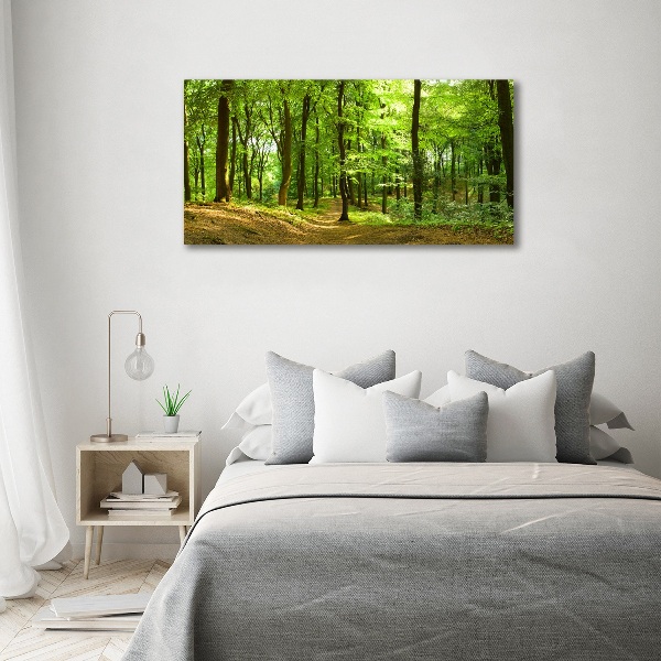 Foto quadro su tela Sentiero nel bosco