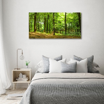 Foto quadro su tela Sentiero nel bosco