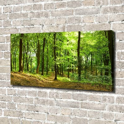 Foto quadro su tela Sentiero nel bosco