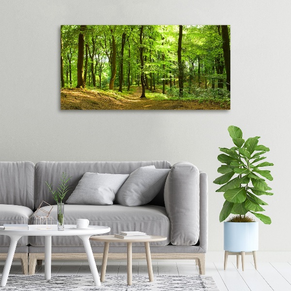 Foto quadro su tela Sentiero nel bosco