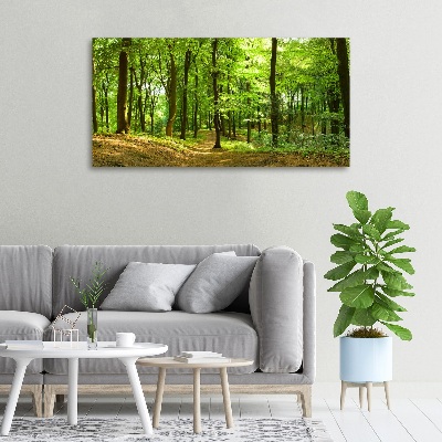 Foto quadro su tela Sentiero nel bosco