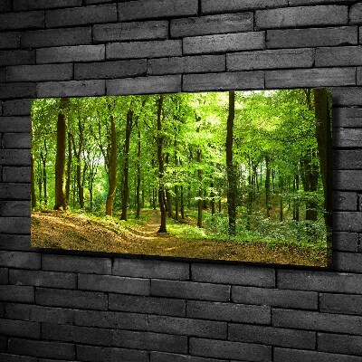 Foto quadro su tela Sentiero nel bosco