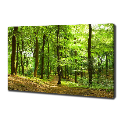 Foto quadro su tela Sentiero nel bosco