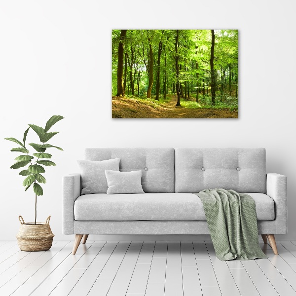 Foto quadro su tela Sentiero nel bosco