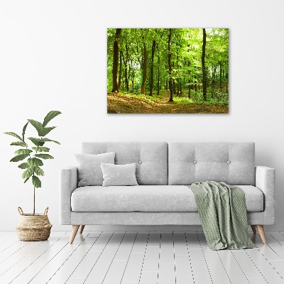 Foto quadro su tela Sentiero nel bosco