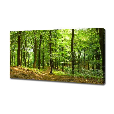 Foto quadro su tela Sentiero nel bosco