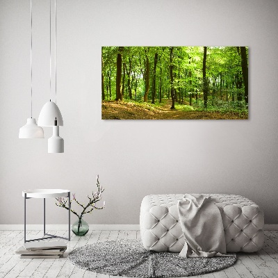 Foto quadro su tela Sentiero nel bosco