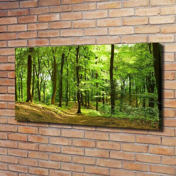 Foto quadro su tela Sentiero nel bosco