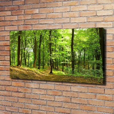 Foto quadro su tela Sentiero nel bosco