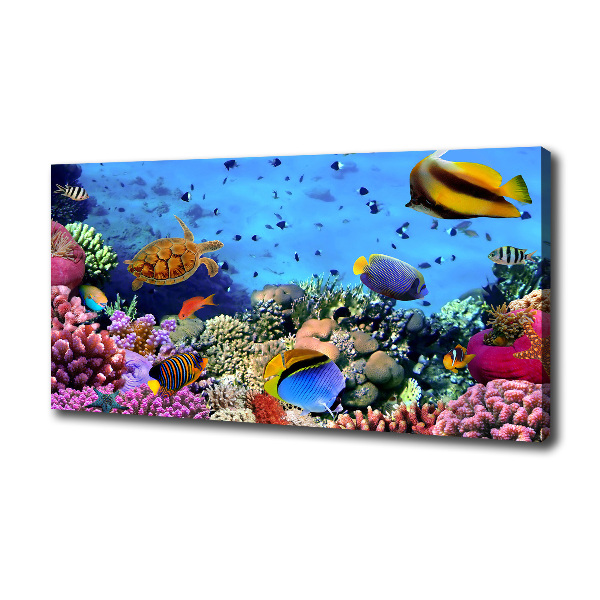 Quadro stampa su tela Barriera corallina