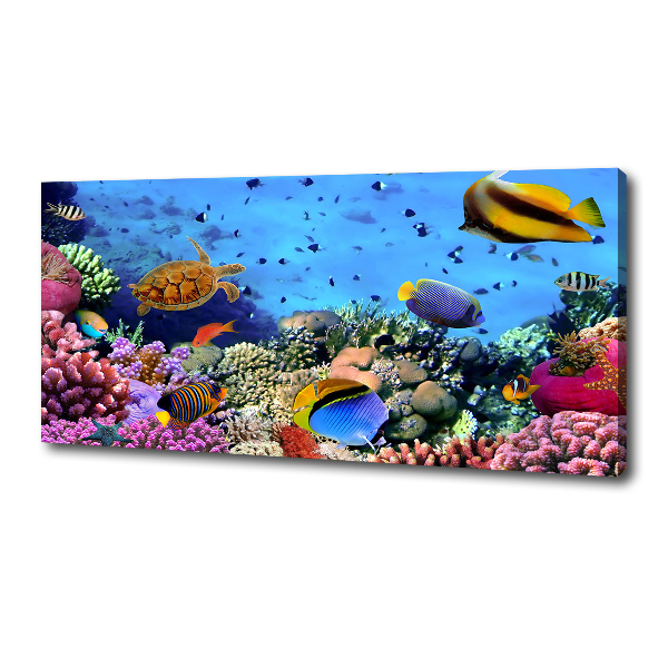 Quadro stampa su tela Barriera corallina