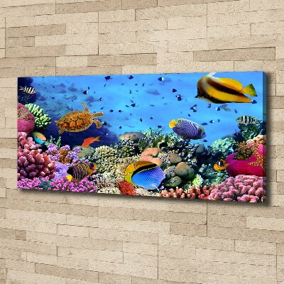 Quadro stampa su tela Barriera corallina