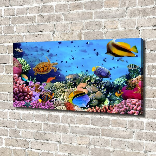 Quadro stampa su tela Barriera corallina