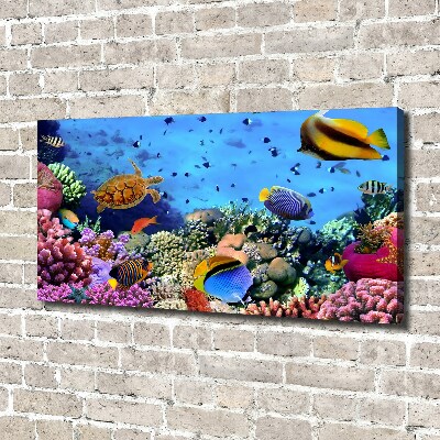 Quadro stampa su tela Barriera corallina
