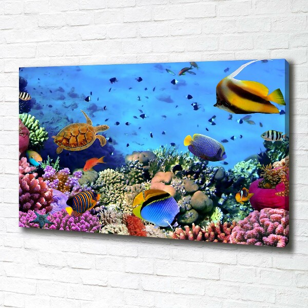 Quadro stampa su tela Barriera corallina
