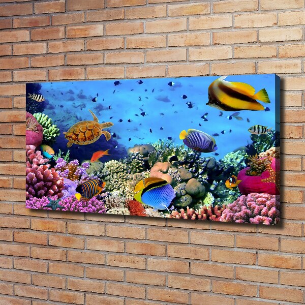 Quadro stampa su tela Barriera corallina