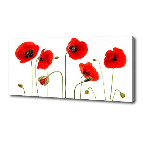 Foto quadro su tela Papaveri