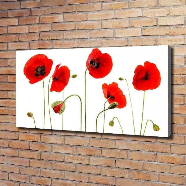 Foto quadro su tela Papaveri