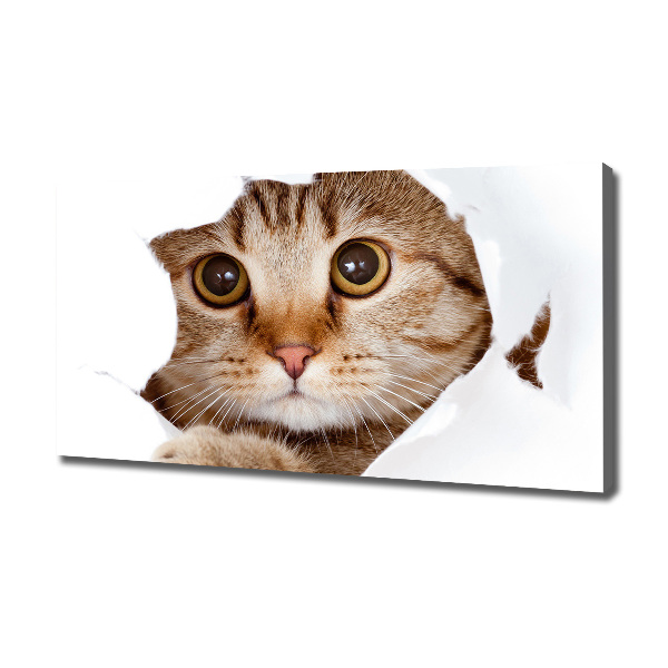 Quadro su tela Gatto