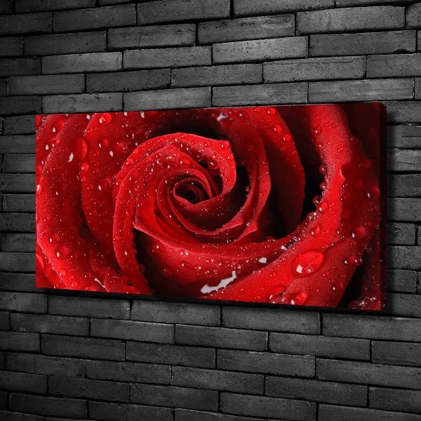 Foto quadro su tela Gocce su una rosa